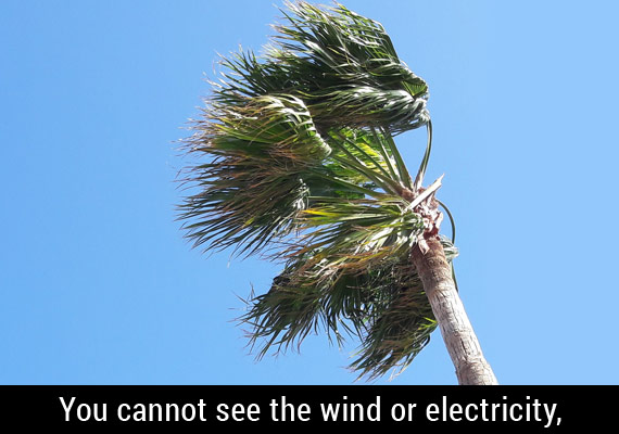 You cannot see the wind, but you can see the evidence of the wind on trees